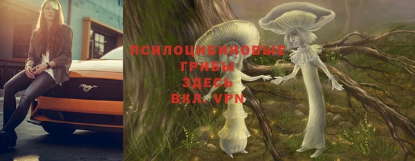 a pvp Володарск