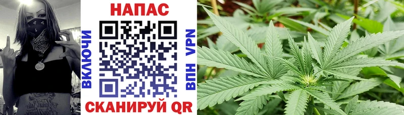 как найти закладки  Гаврилов Посад  Бошки Шишки план 